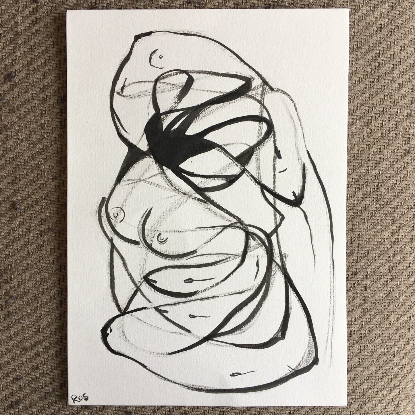 Unconscious Line Drawings | 2024 | Ink Drawings