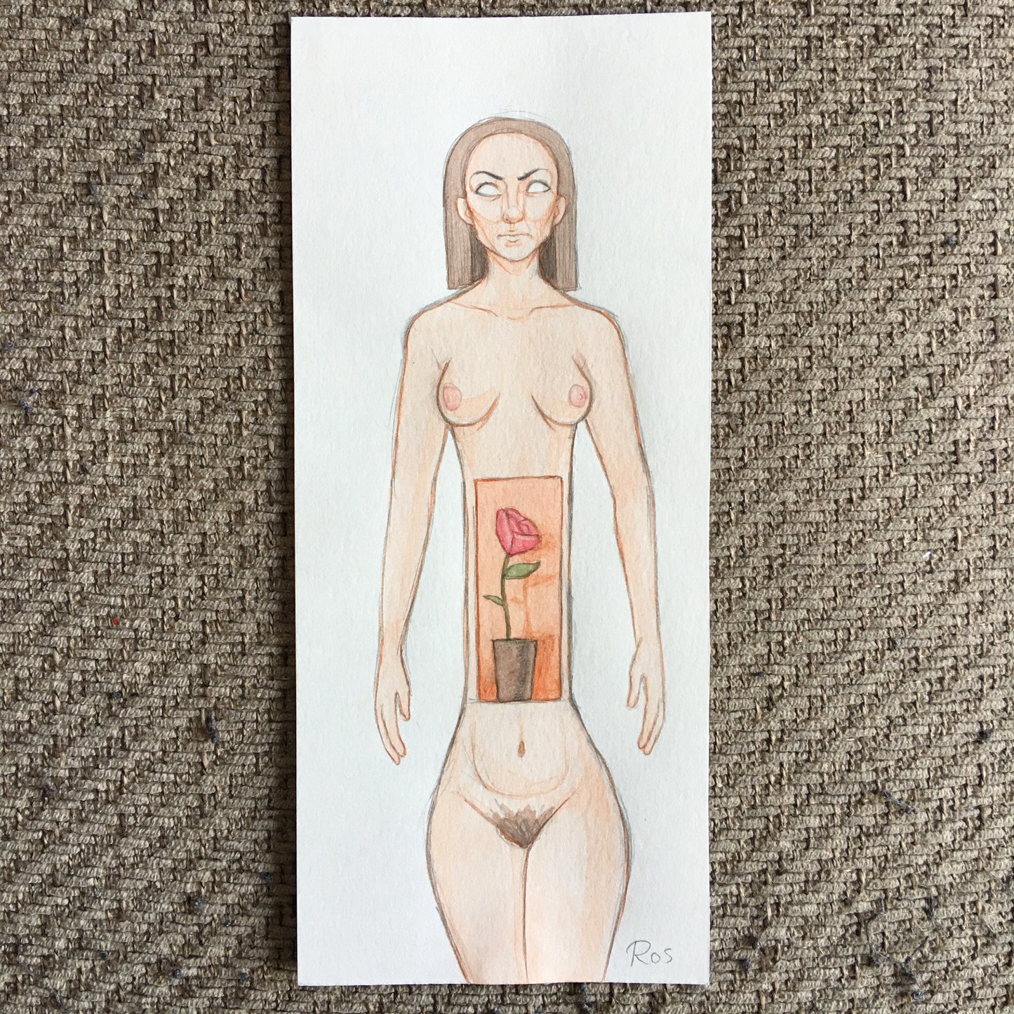 'HUMAN SHELVES' | 2021 | Watercolour Drawings